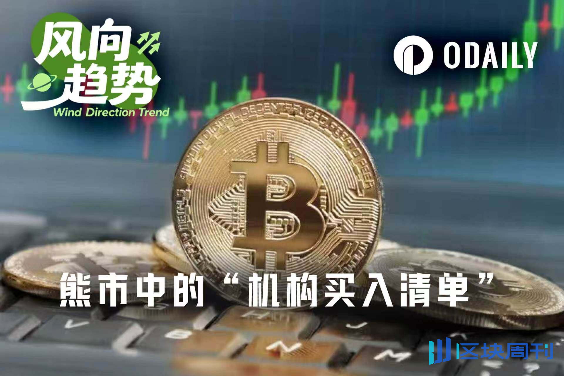 In the Crypto Bear Market, Which Crypto-Related Stocks Are Institutional Giants Accumulating?