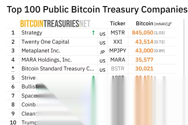 BitcoinTreasuries.net ranking shows Strive as the fifth-largest public Bitcoin treasury company with 23,156 BTC, ahead of Bullish and SpaceX.
