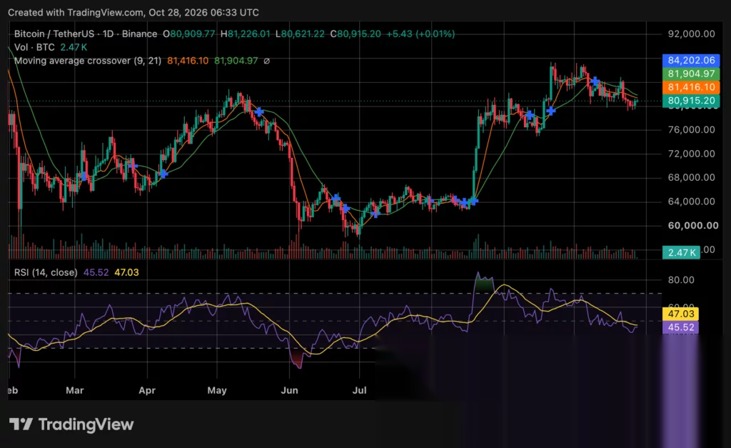 比特幣價格圖表，來源：crypto.news