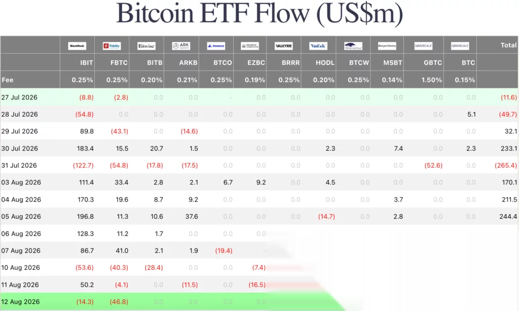 Bitcoin ETF flow, source: Farside
