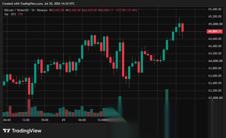 Bitcoin price chart.