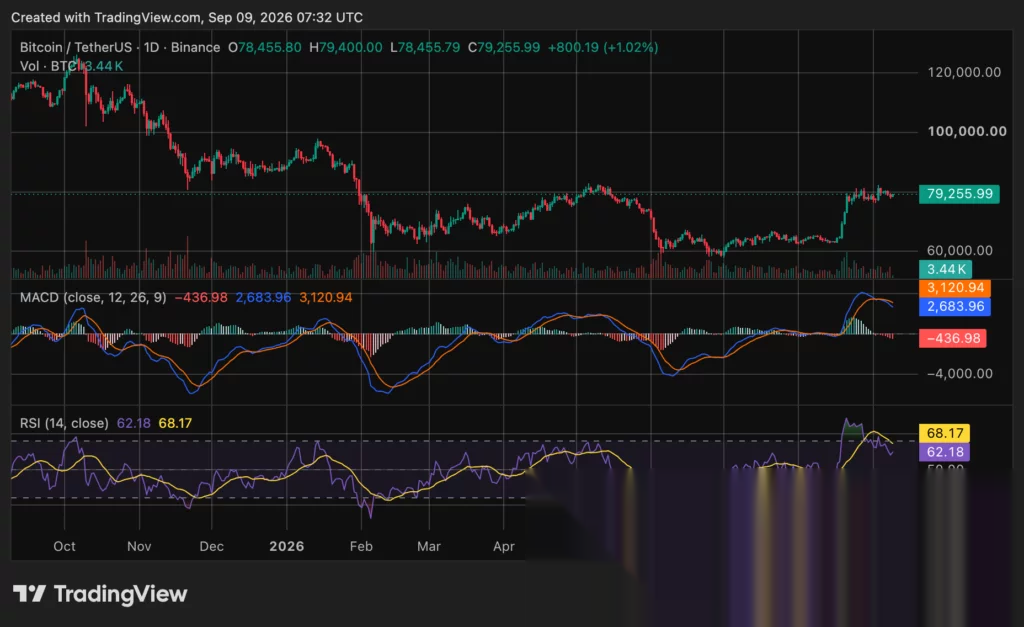 比特币（BTC）价格图表，来源：crypto.news
