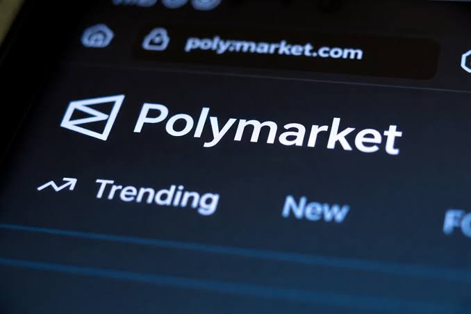 poly poly