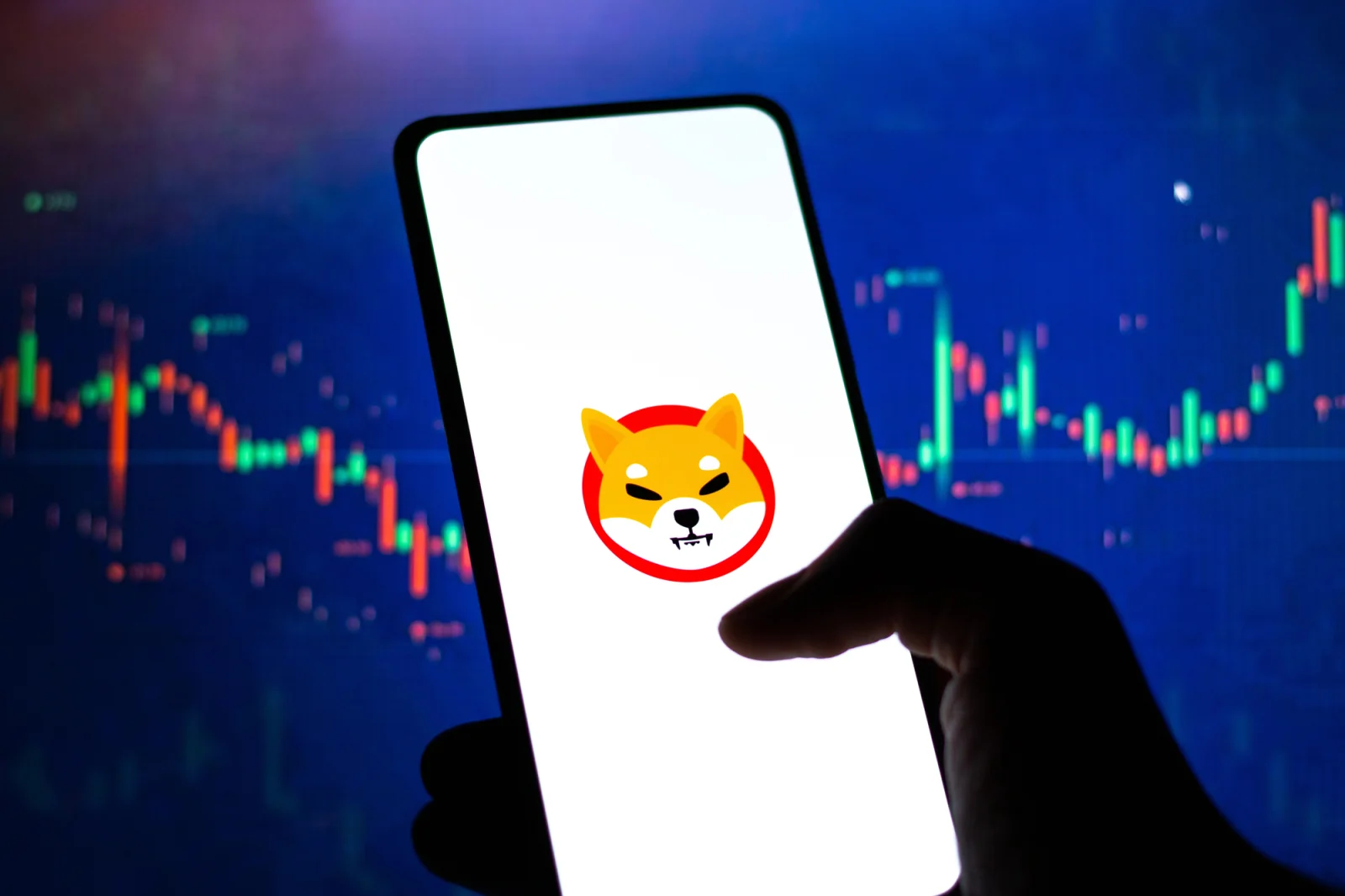 Wieloryb Shiba Inu przerywa 8-miesięczną ciszę i po cichu gromadzi SHIB na Binance