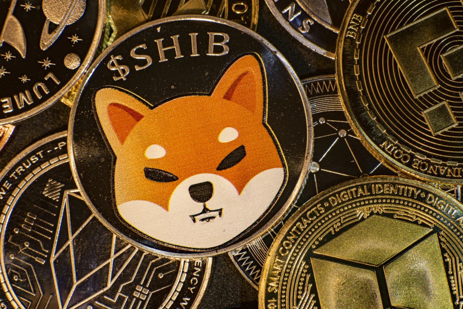 Shiba Inu (SHIB) Exchange Inflows Surge 128%: Can It Halt the Downtrend?