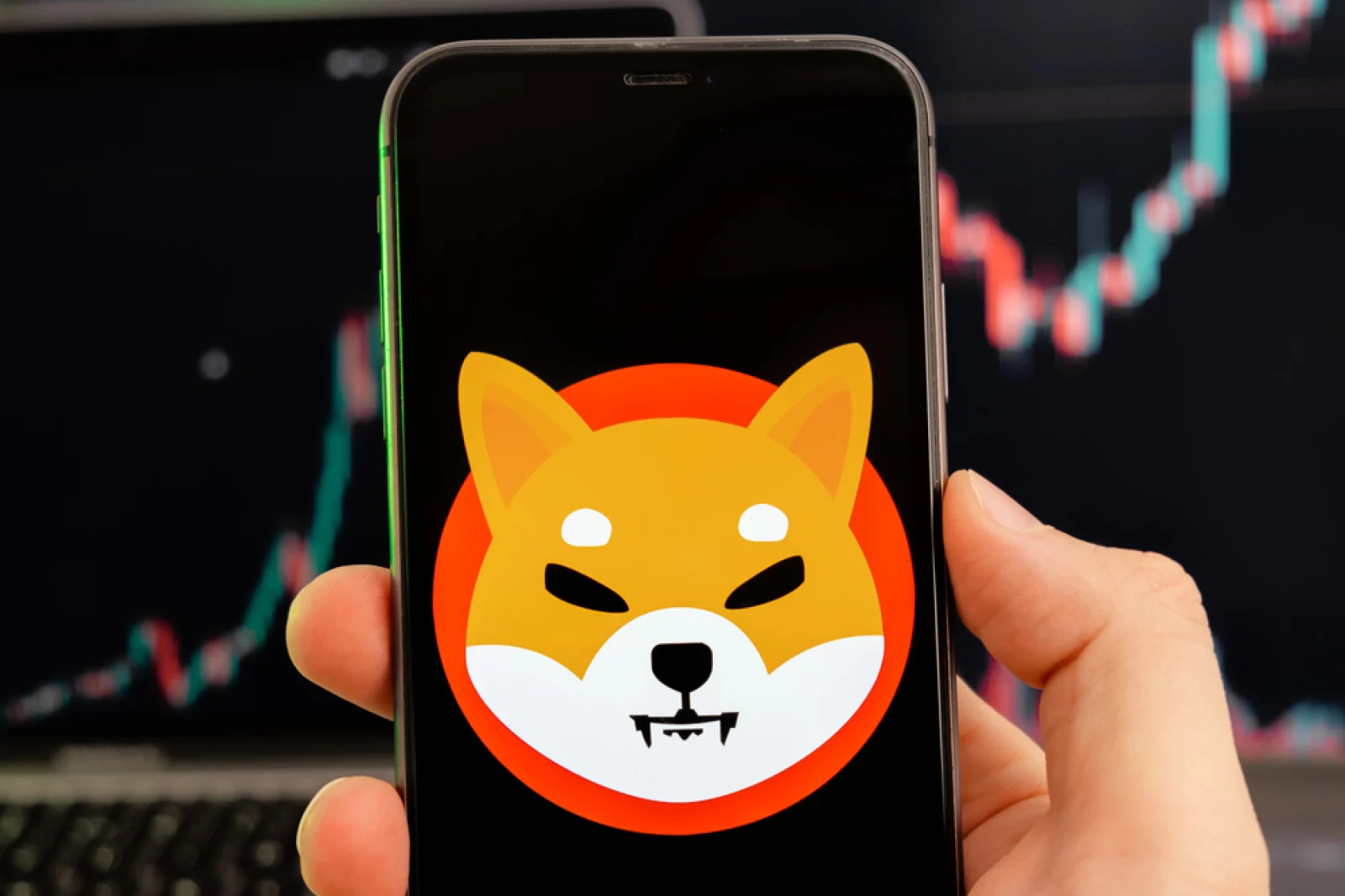 Shiba Inu Futures See 3,402% Surge in Net Flow: What's Next for SHIB?