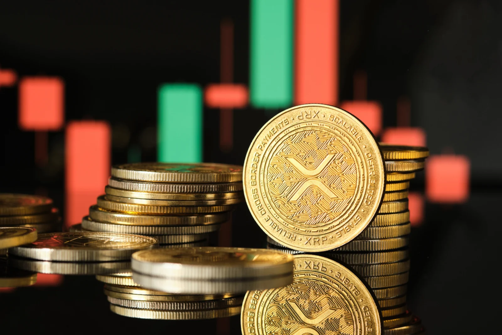 Bitwise возобновила покупку XRP после пяти дней затишья