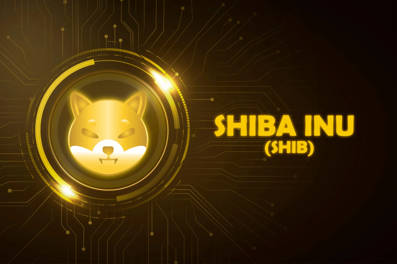 Grande configuration pour Shiba Inu (SHIB) : une cassure de triangle imminente alors que la concentration des baleines dépasse 94,68 %