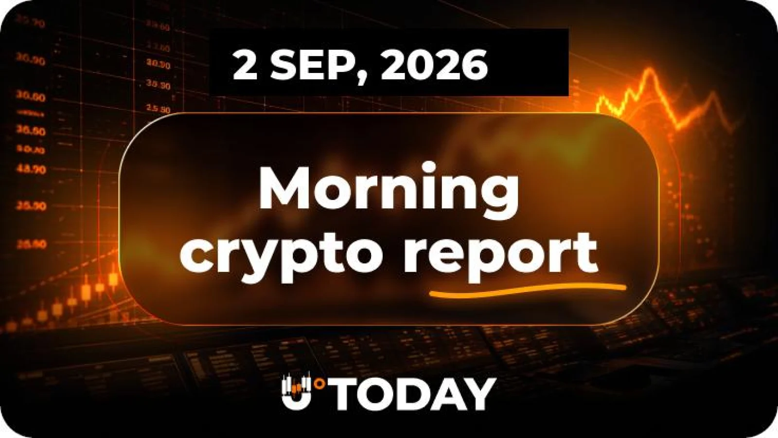 XRP dołącza do Ether i Solany w fali likwidacji o wartości 369 milionów dolarów w związku z reformą SEC dotyczącą blockchaina: Główne wiadomości kryptowalutowe dziś rano