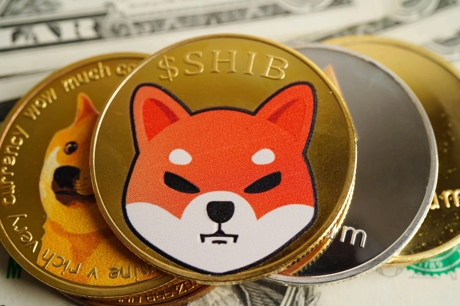 Shiba Inu Coin's Second Round? Korea's Crypto Exchange Suddenly Reorganizes 864 Billion SHIB