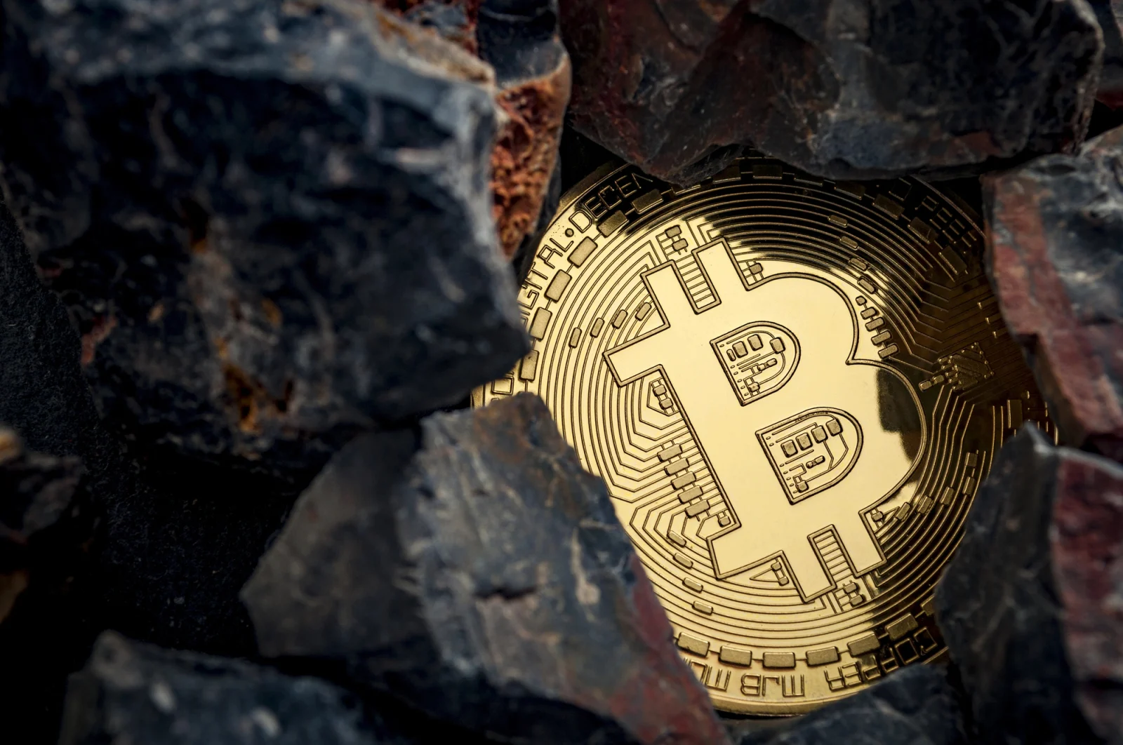 Klienci BlackRock wycofują 202 mln dolarów z ETF-a Bitcoin, by zasilić Ethereum